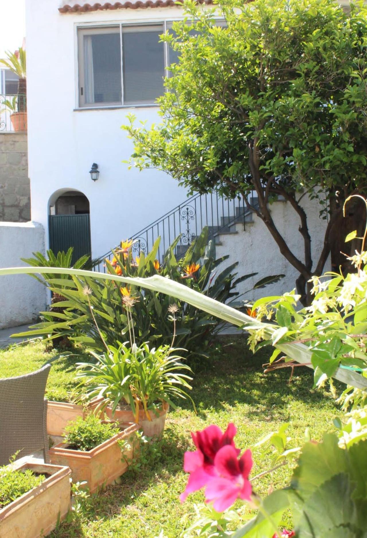 فيلا Chez Marie ايسكيا المظهر الخارجي الصورة
